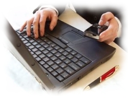 Image of Hokke Enterprises working on your new website